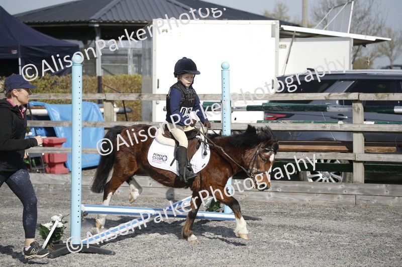20250412-0218 - Show Jumping