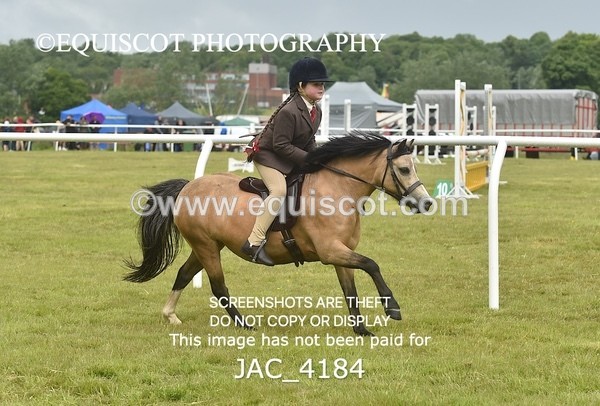 JAC_4184 - 30CM WORKING HUNTER