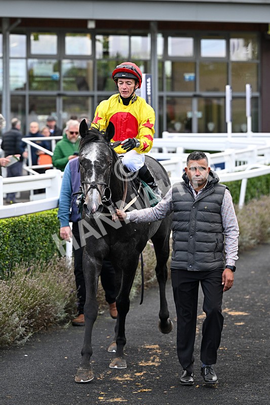 171026-Race 5-Brighton Boy-6023 - Race 5 3.25pm William Hill Epic Boosts Handicap (Div I)