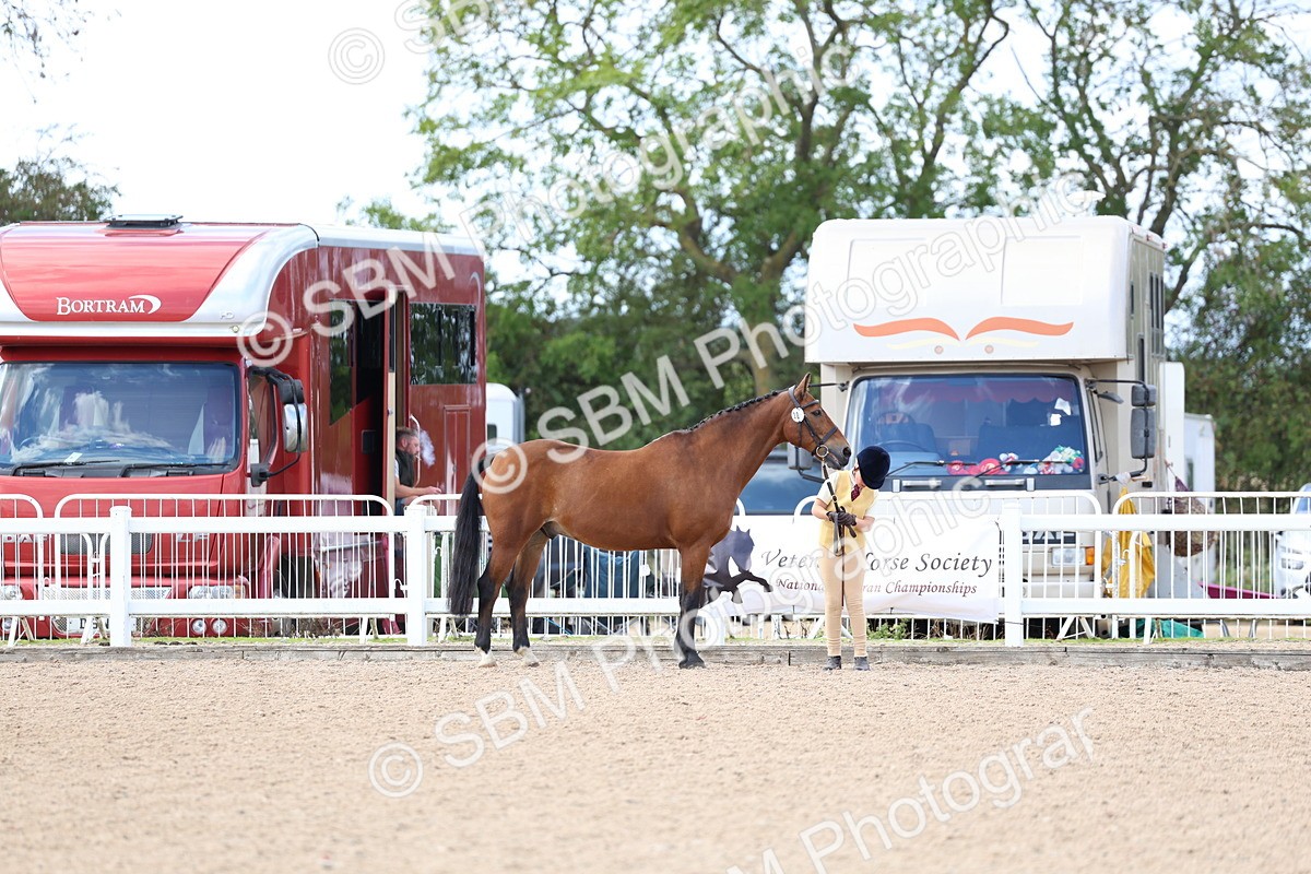 SBM_15327 - Class 312 - IH Competition Horse-Pony