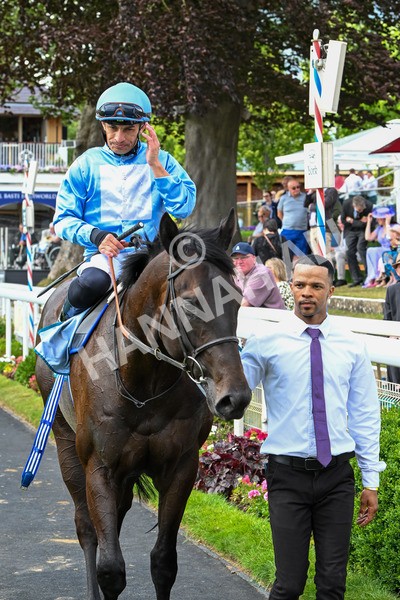 140625-Race 5-Egoli-3159 - Race 5 4.10pm Reg Griffin Appreciation EBFstallions.com Maiden Stakes