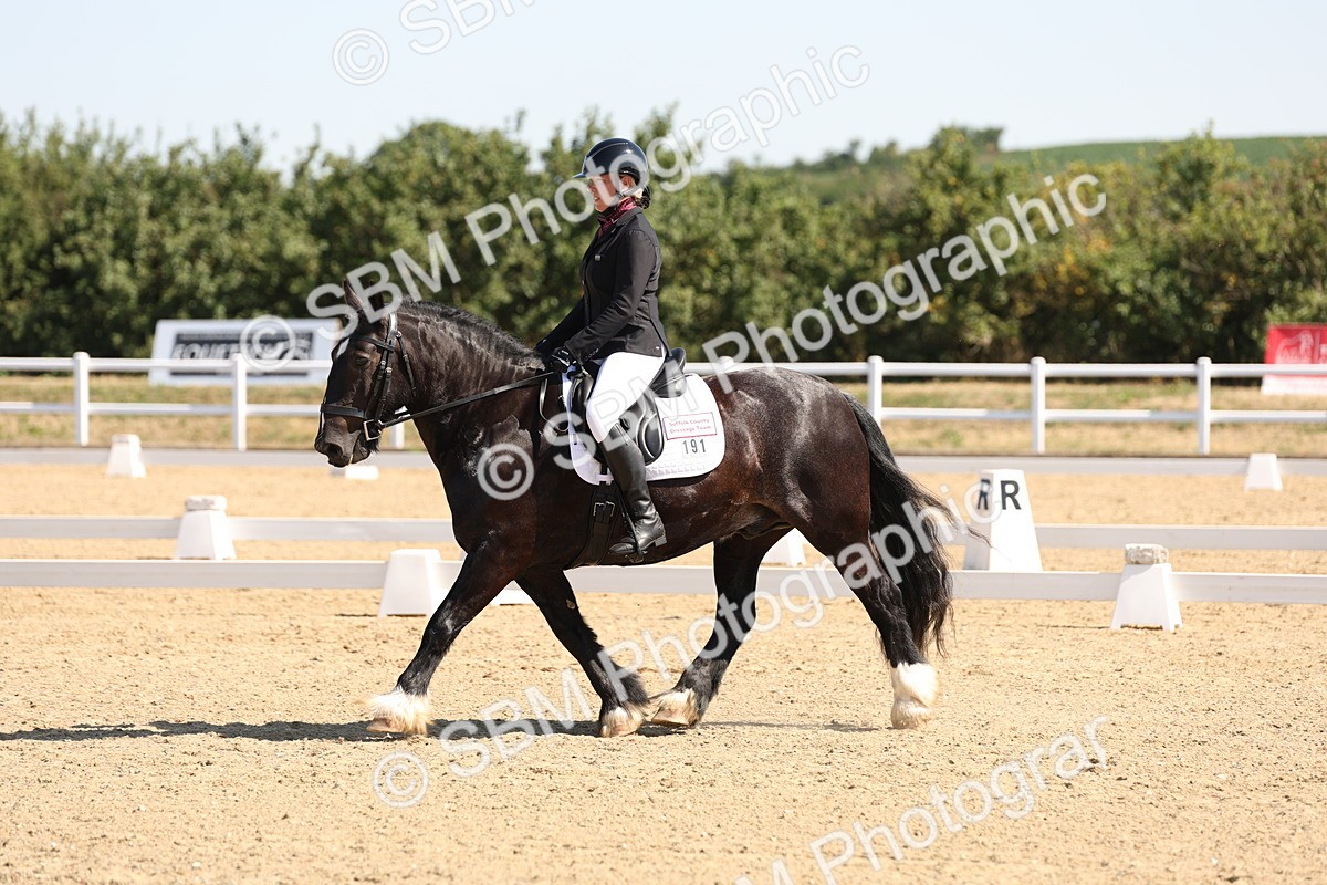 SBM_001055 - Intro 2