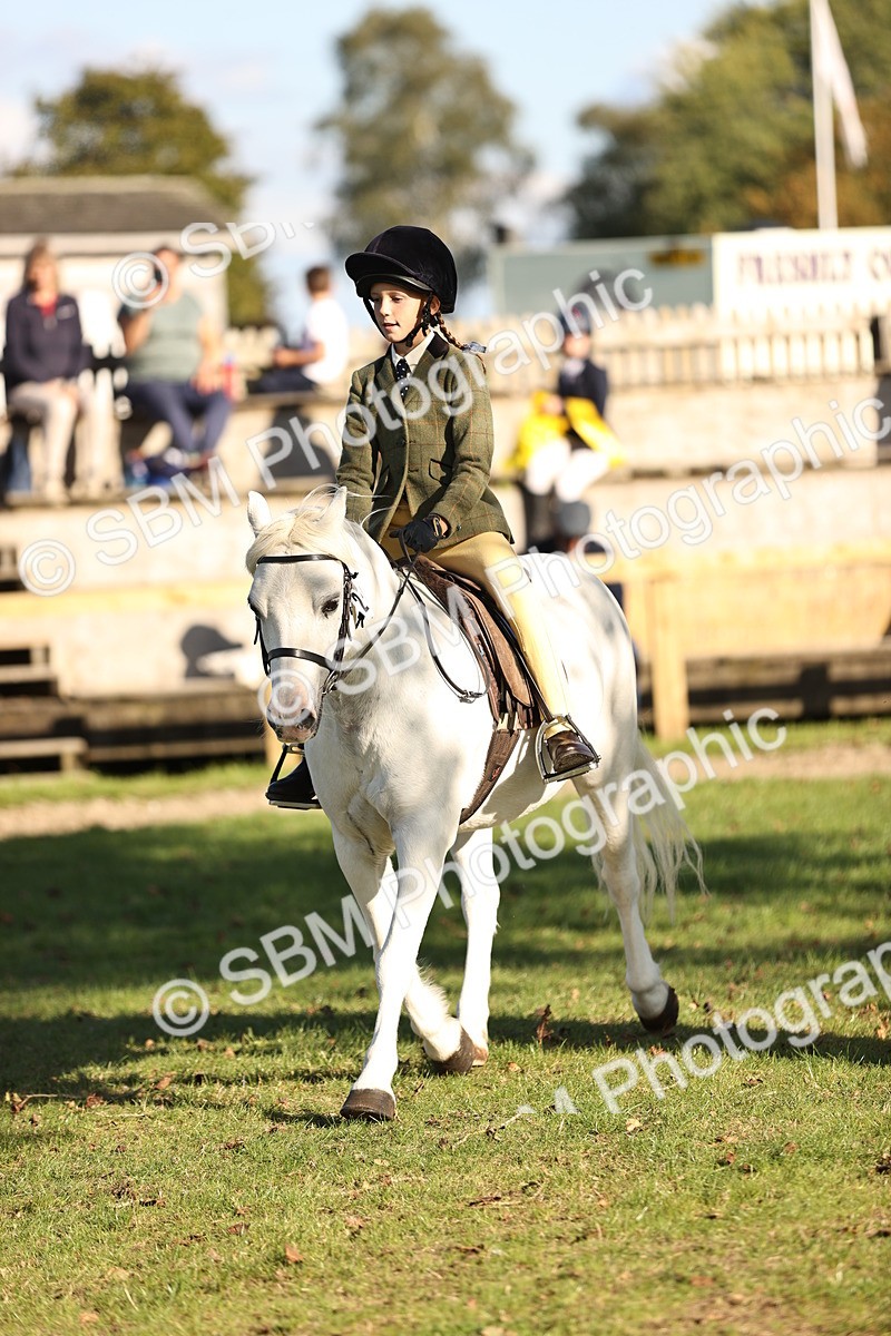 SBM_29409 - S7 - Novice & Newcomers Ridden Pony