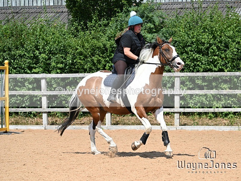 WJ7_6556 - Show Jumping at BCA