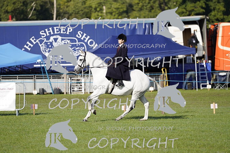 _DSC9487 - Class 8 & 17 Ridden Hunter & Ridden Hunter Pony
