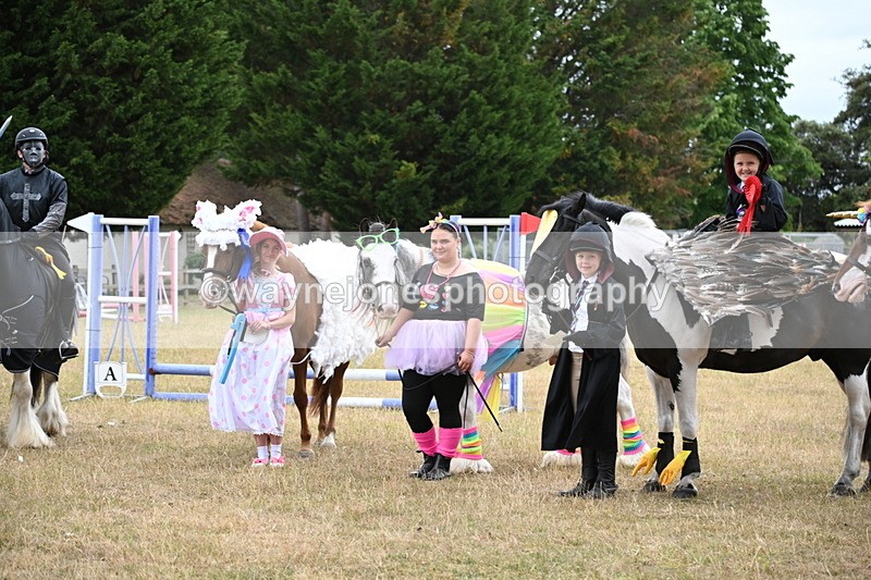 WJ6_9242 - Class 11 Fancy Dress
