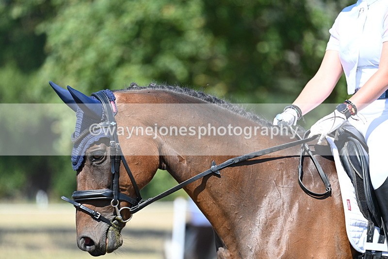 WJ7_1020 - Time 12:34 to 12:47