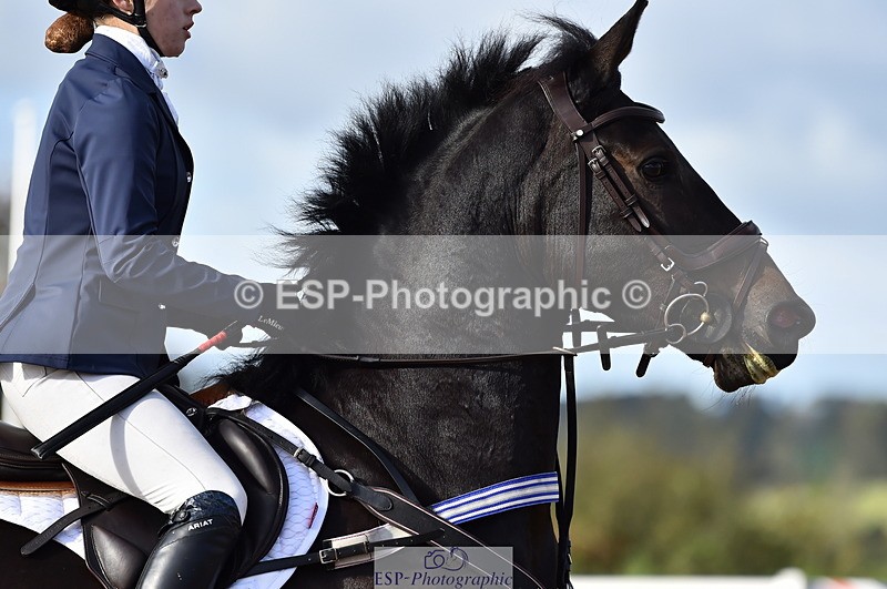 231014A-104510-03886 - Cls 13 85cm Amateur Q 2nd R