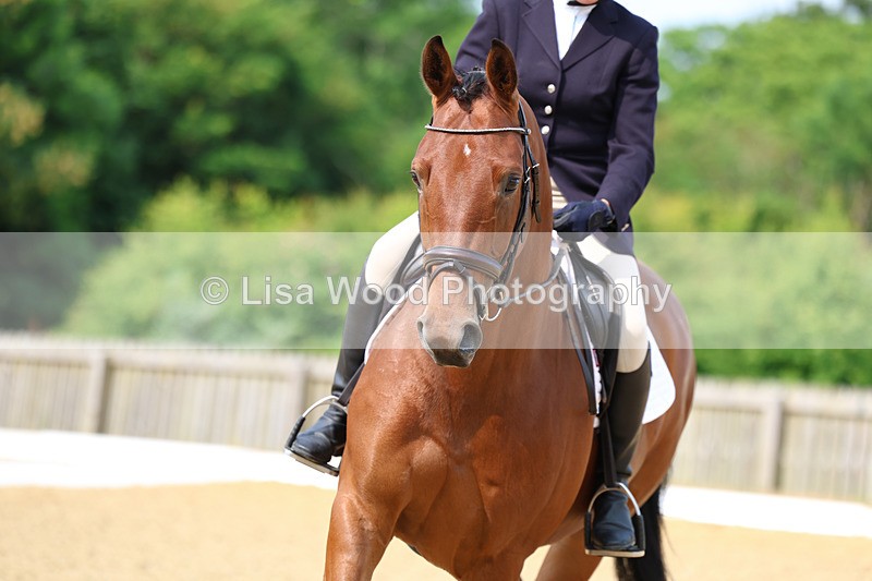 3E7A8930 - Class 1: Intro 1 2024 Section A