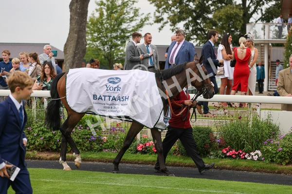 yr20082021r4-2 - Race 4 3.35pm Coolmore Wootton Bassett Nunthorpe Stakes (British Champions Series Race)