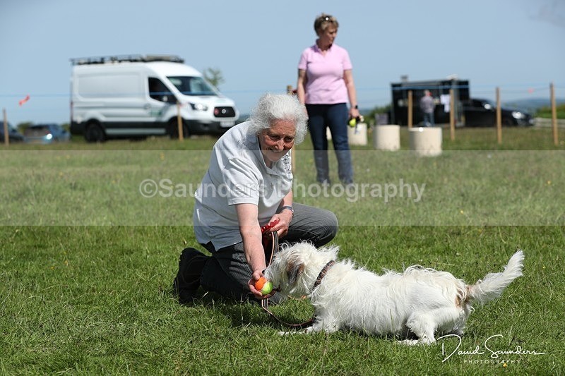 SPXX0604 - Dog show