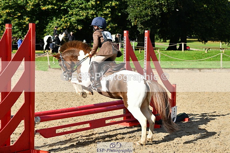 251004A-112153-00595 - Classes 4 & 5 50cm