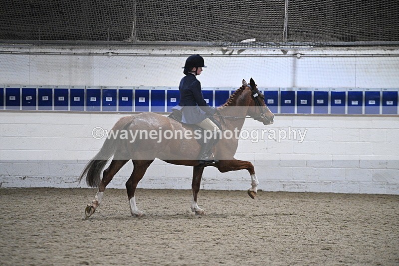 WJ7_4119 - Class 17 Ridden Cob