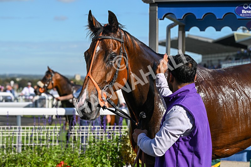 220926-Race 4-Toca Madera-4134 - Race 4 3.15pm Eddie And Violet Smith Conditions Stakes