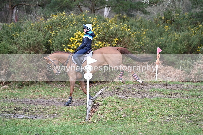 WJ7_8374 - Time 11:09 to 11:38