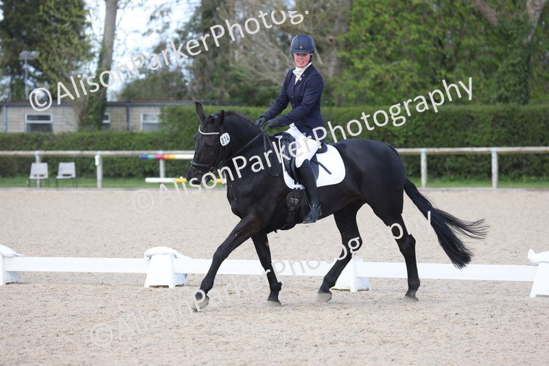 20260405-0447 - Class 5 - Elementary 5