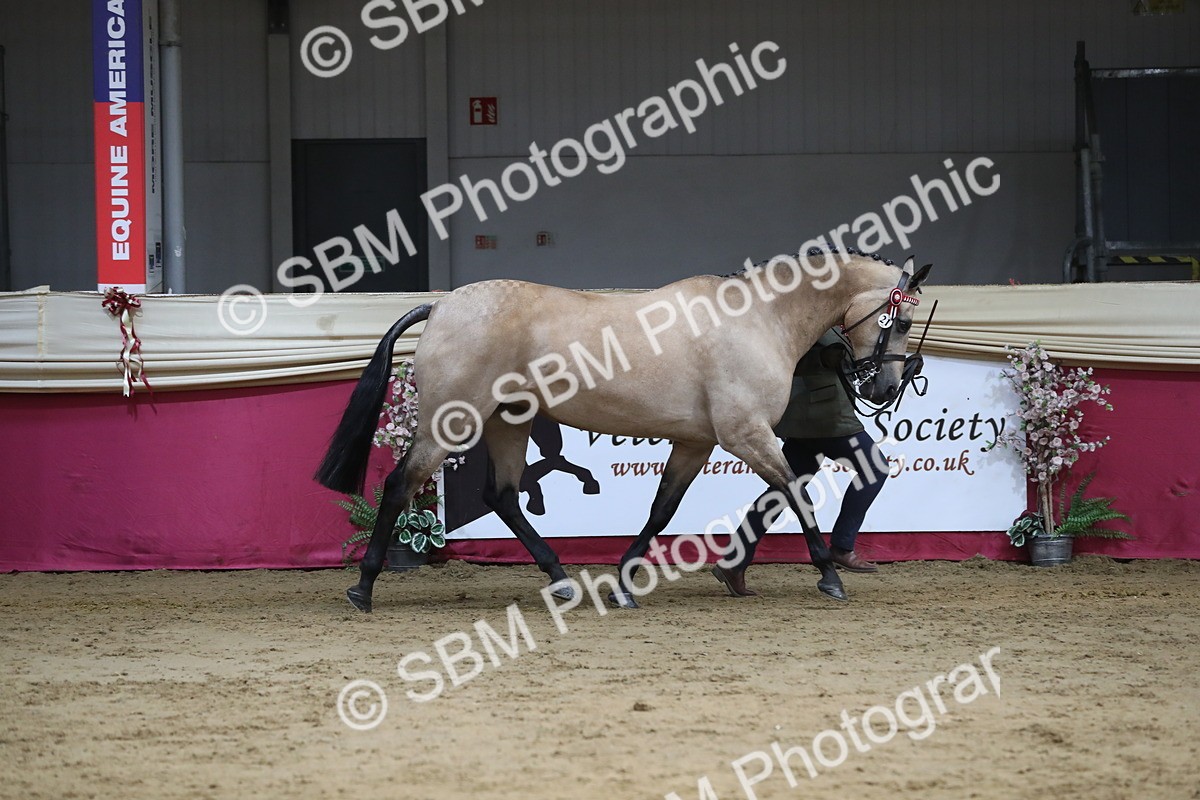 SBM_06518 - Regional IH Champ