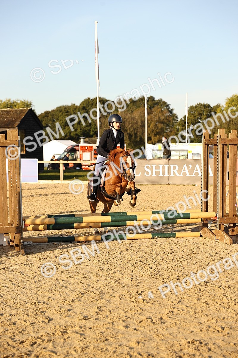 SBM_57151 - J11 - Junior Pony 50cm Championship
