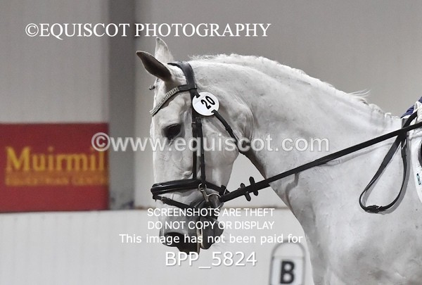 BPP_5824 - NOVICE TEST 6