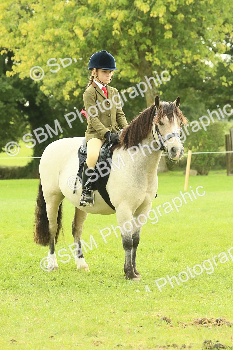 SBM_69937 - S59 - Mountain & Moorland Ridden Small Breeds