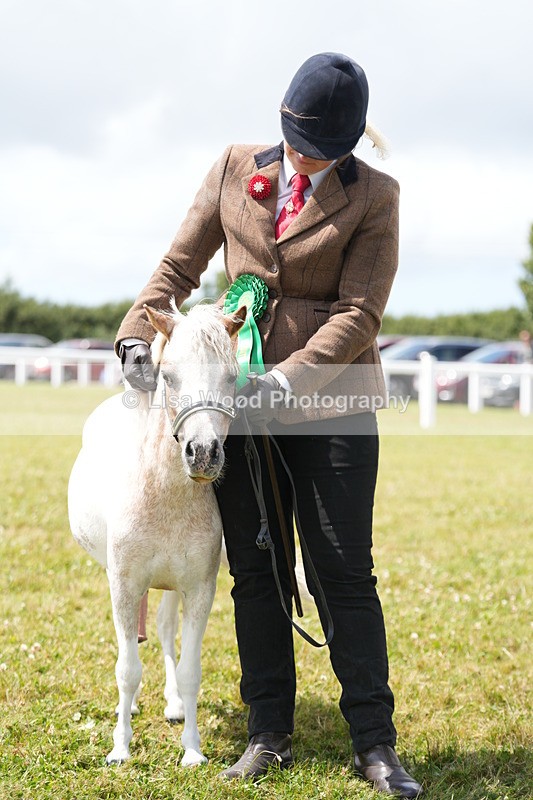 DSC06972 - Class 60: Coloured Pony 4yrs & over