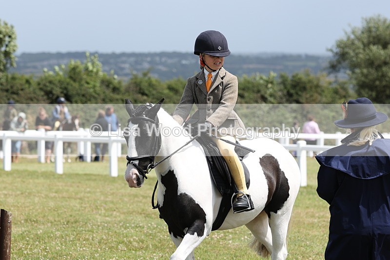 JPP_1795 - Class 18: Tiny Tots Working Hunter Pony