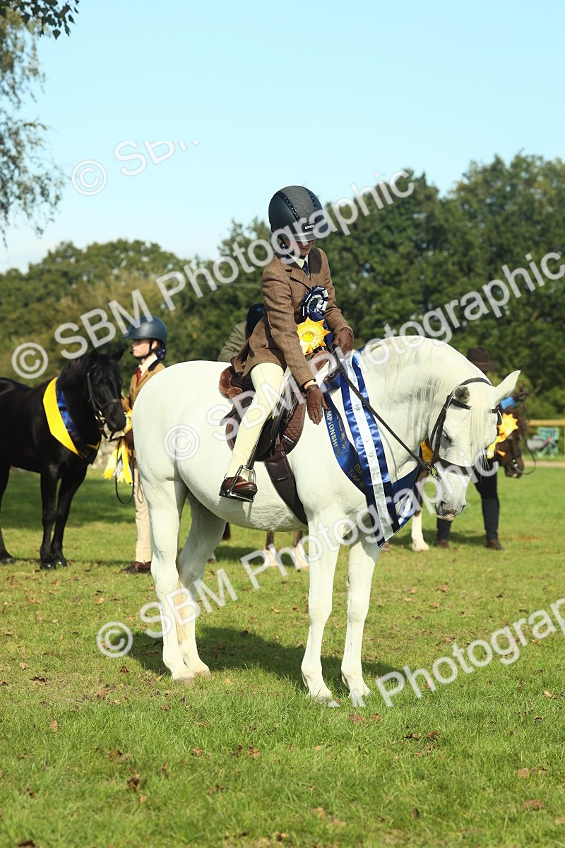 SBM_61162 - Starter Supreme Championship