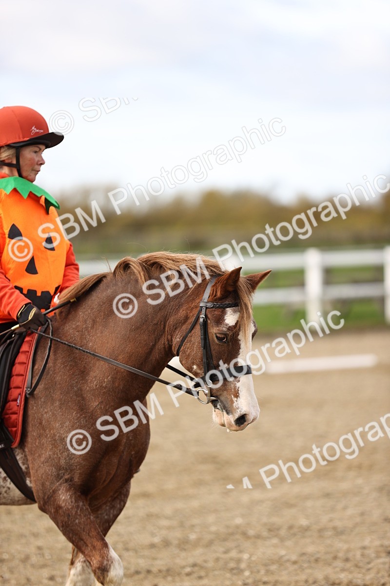 SBM_000839 - Class 2-4 - Intro 1 Intro 3