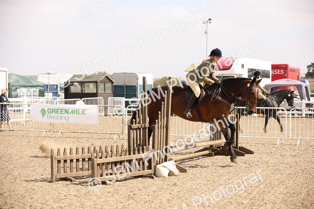 SBM_14347 - Class 407b - Working Veteran 60cm (20+)