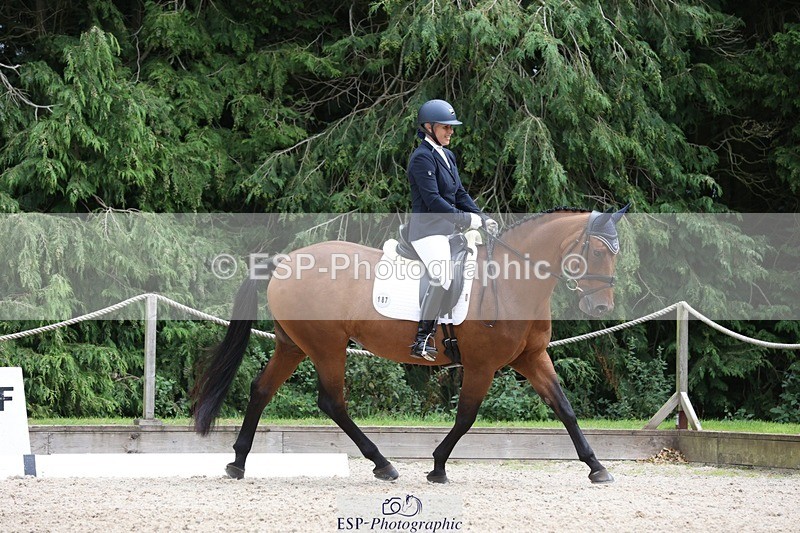 230812-150216-05035 - Cls 5 Novice Bronze 15.00 to End