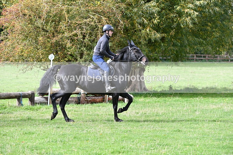 WJ5_9312 - Time 13:03 to 13:25