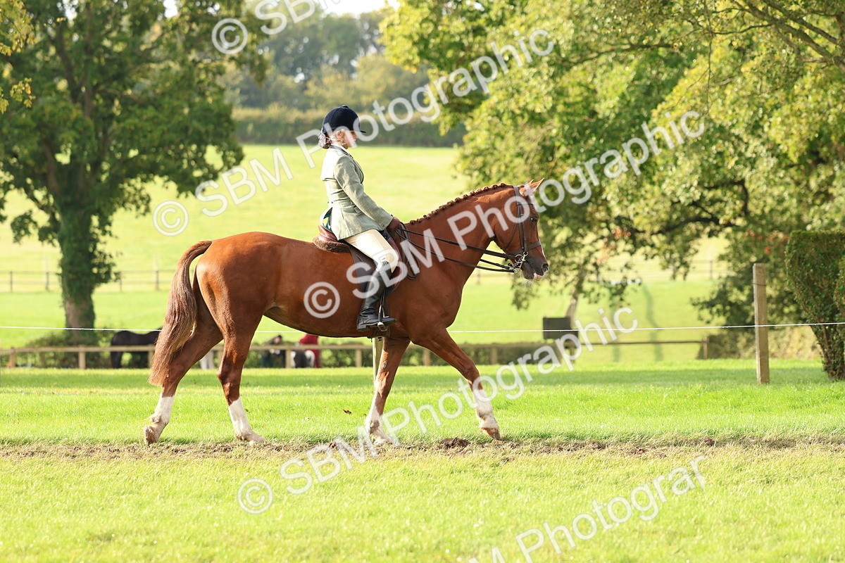 SBM_56523 - S40 - Starters Ridden Showing