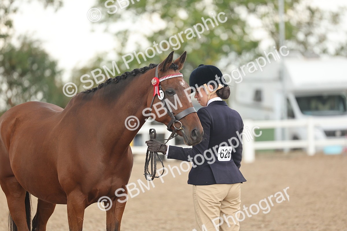 SBM_07687 - Class 26 - IH Foreign Breeds - Part Bred