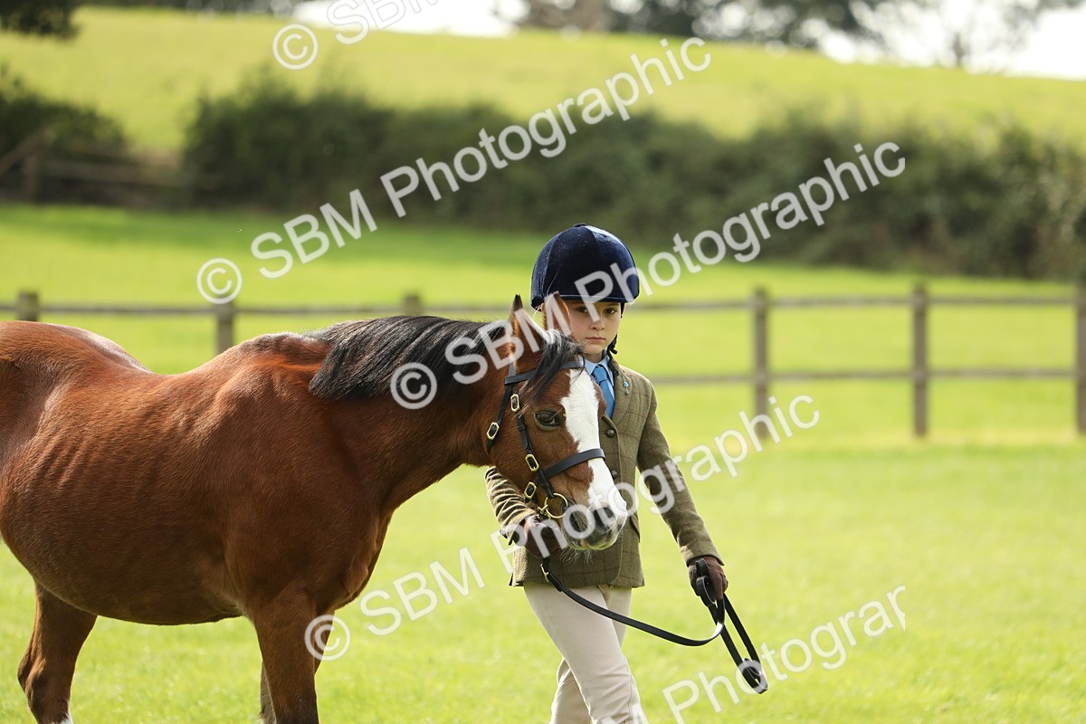 SBM_67697 - S39 - Junior Handler 8  Years & Under