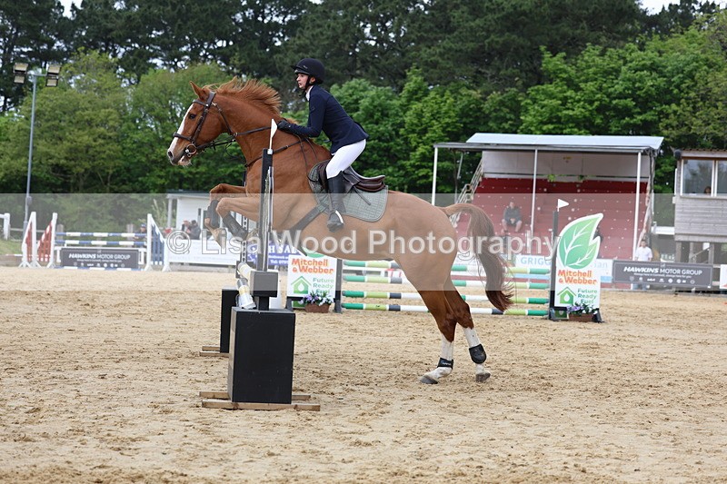 3E7A6258 - Class 4: Senior British Novice/90cm open