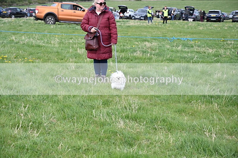 WJ6_8060 - Class 2 Best Pedigree