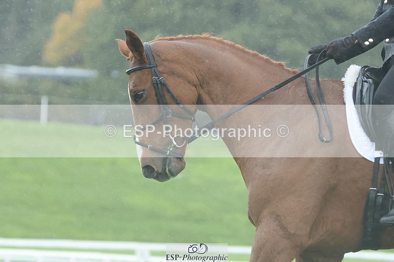 251023A-121151-03498 - D-321-Kirstie.Deakin-Main