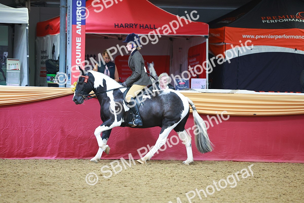 SBM_10690 - Class 103 - HOYS Veteran Qualifier - Ridden Pre Vet