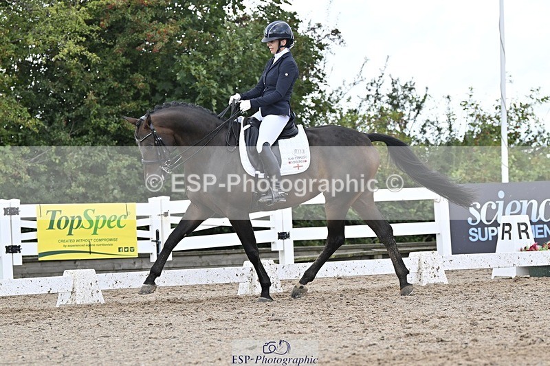 250907-165634-10831 - 113-Nicole.JahanshahiVirtual.Attraction