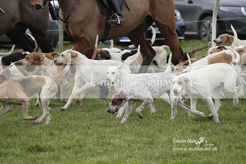 PtP 050323 520 - Blackmore & Sparkford Vale Hunt PtP - Somerset 05/03/23