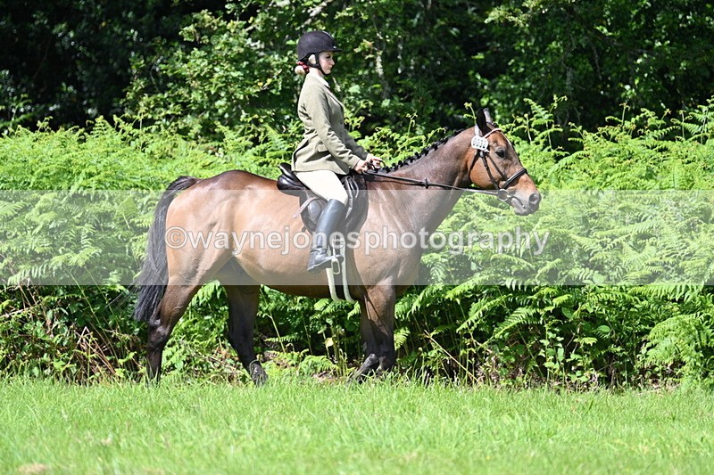 WJ7_1515 - Class 11 Condition & Turnout