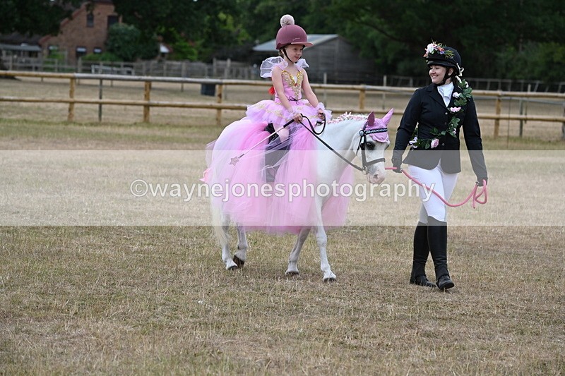 WJ6_8626 - Class 11 Fancy Dress