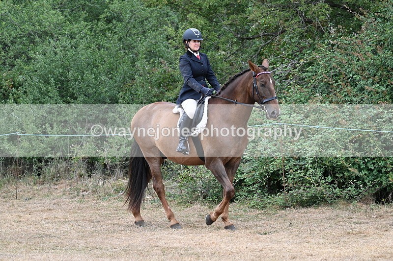 WJ7_0753 - Class 7 Riding Club Show Horse