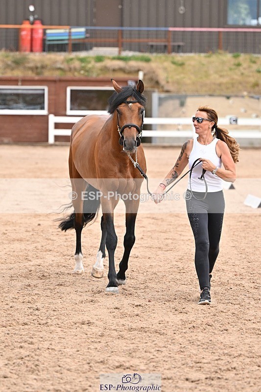 250716-151319-01785 - Trot Up 2.30 to 3.30