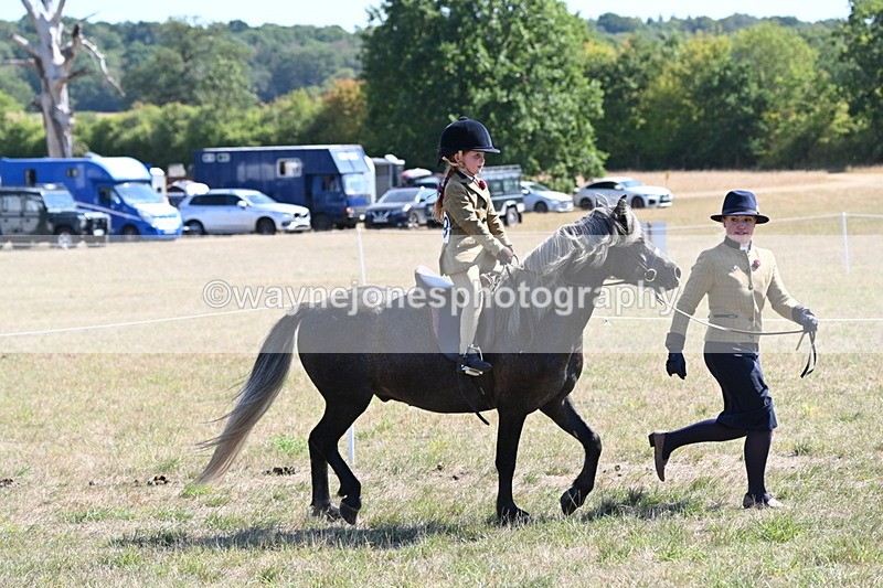WJ6_7787 - Class 36 Lead Rein