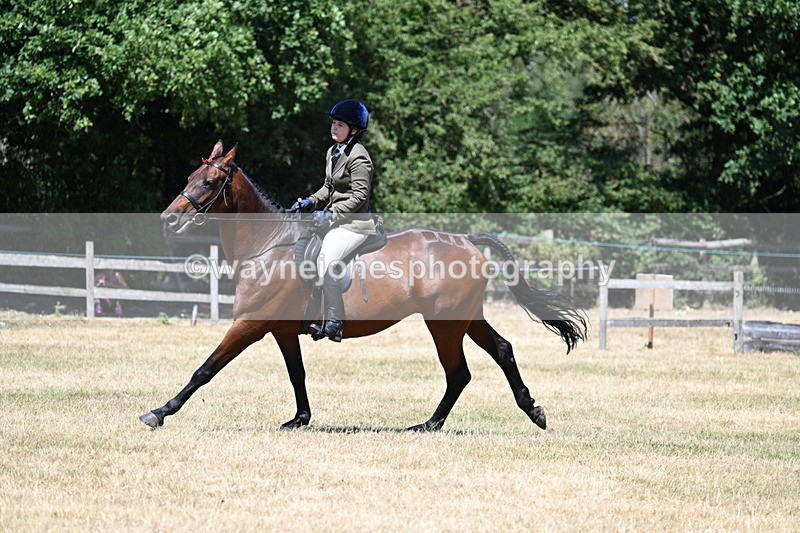 WJ7_3116 - Class 7 Riding Club Show Horse