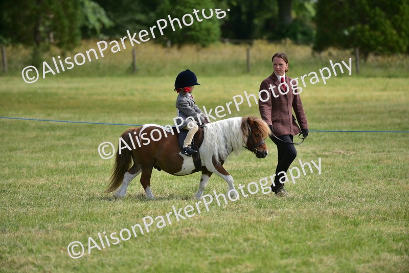 20260614-1118 - Class 11a - Lead Rein Pony (Unplaited)