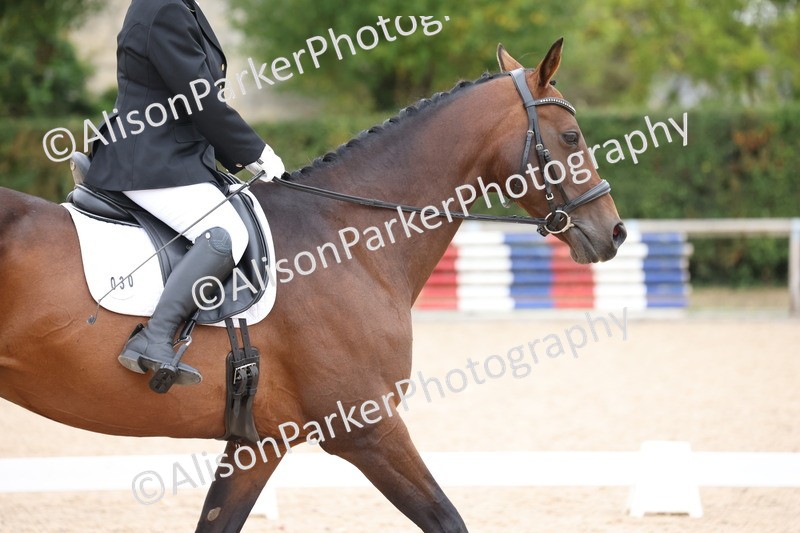 20250820-0592 - Class 14 - Prelim 5