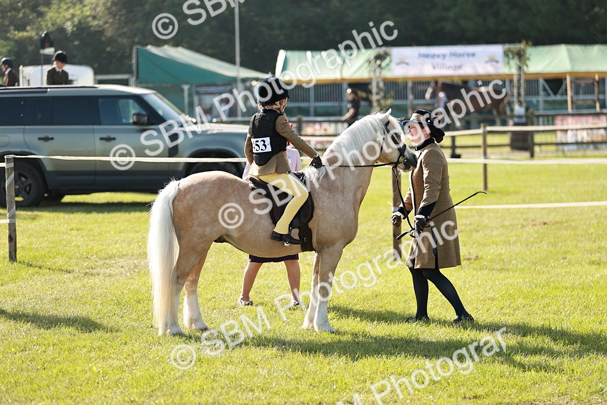 SBM_11240 - Class 106-107 - BSPS LIHS Working Sports Pony