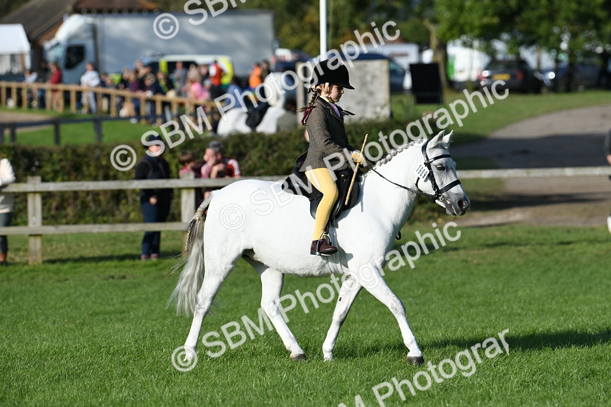 SBM_52416 - S22 - 1st Ridden Show & Show Hunter Pony